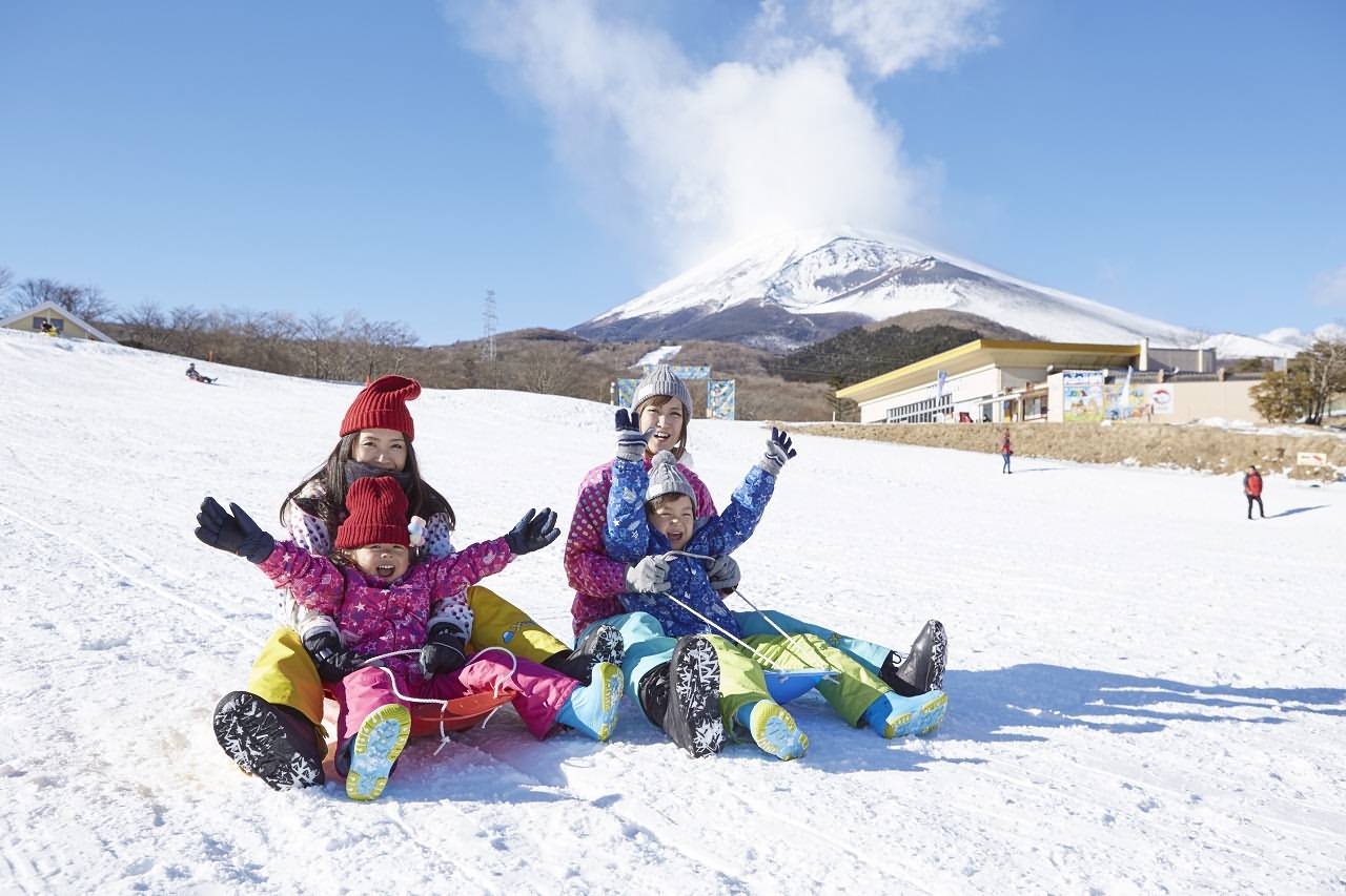 7 Days Japan Family & Kids-friendly Tours Tokyo Mt.Fuji Hakone Osaka Nara